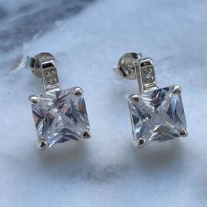 4.0CTW Princess Cut Diamond Stud Earrings